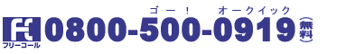 �ե꡼������0800-500-0919